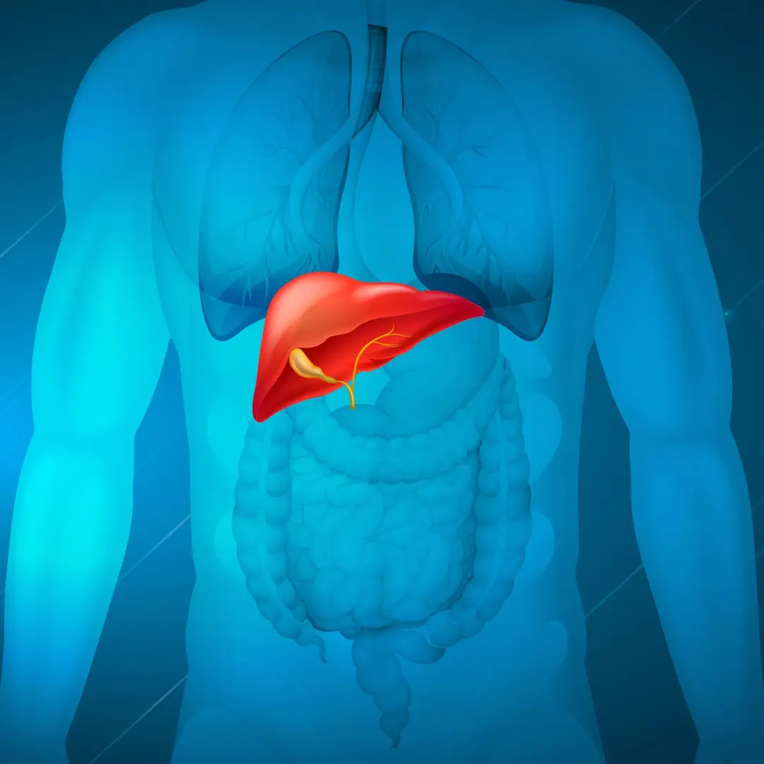 Blaoting Causes
