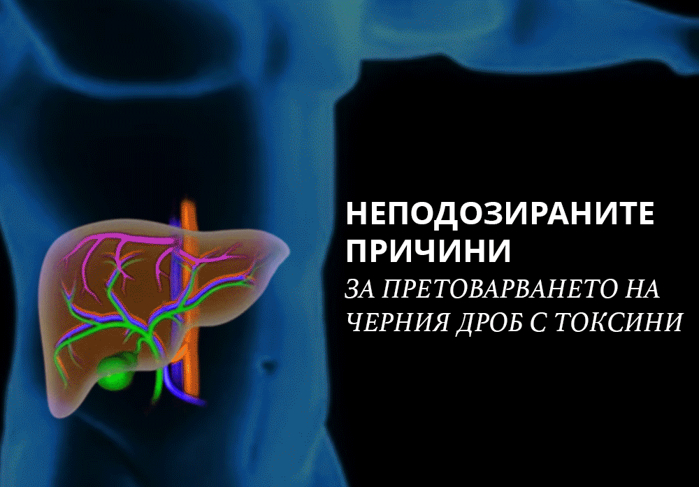 Нездравословните навици: Причината за влошената функция на черния дроб