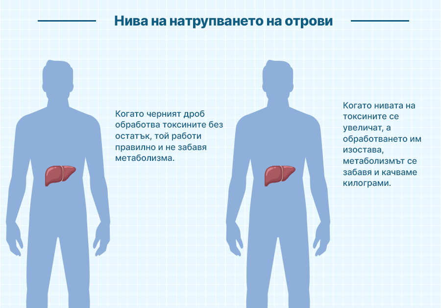 Когато черният дроб е претоварен с отпадъчни вещества и дейността му се забави, това се отразява негативно на всички останали органи в тялото, които не могат да изпълняват функцията си нормално.