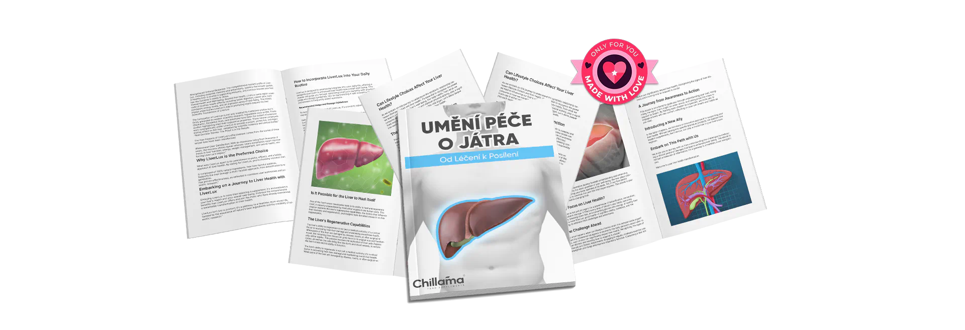 <b>DÁREK:</b> Digitální Kniha